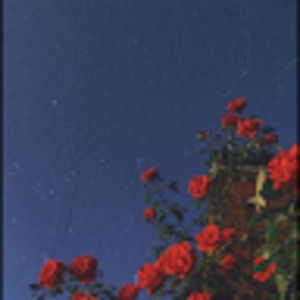 Meet your Posher, Paiten